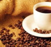 广州皇茶加盟店的发展前景如何？