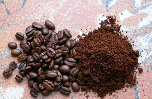咖啡豆的选择