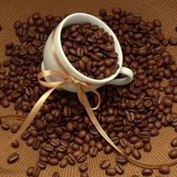 上届（2017）海南国际咖啡展回顾